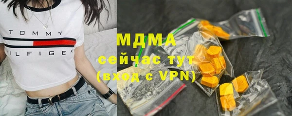 PSILOCYBIN Алзамай