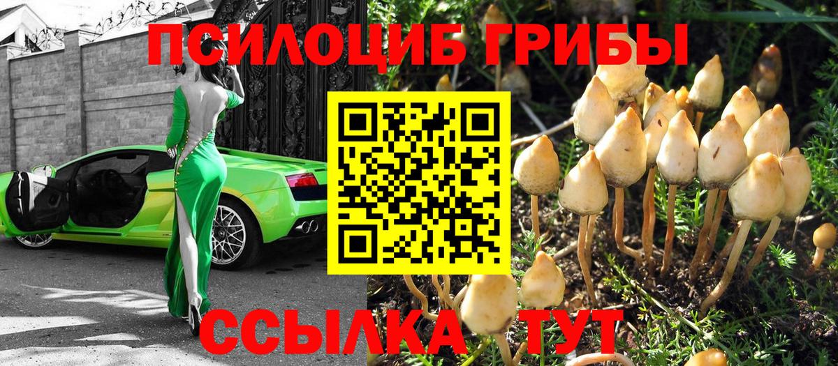 Тихвин  Галлюциногенные грибы мухоморы  Вход с VPN  Псилоцибиновые грибы Psilocybine cubensis 