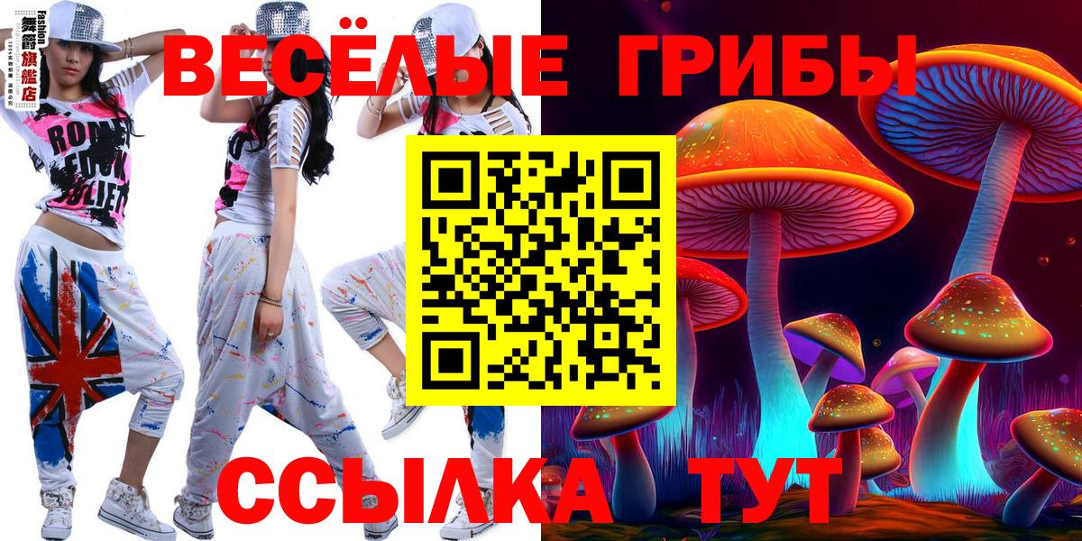 Псилоцибиновые грибы прущие грибы Тихвин